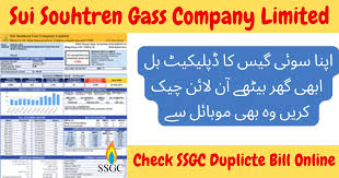 How to get Duplicate Bill of sui gas in Just Minutes